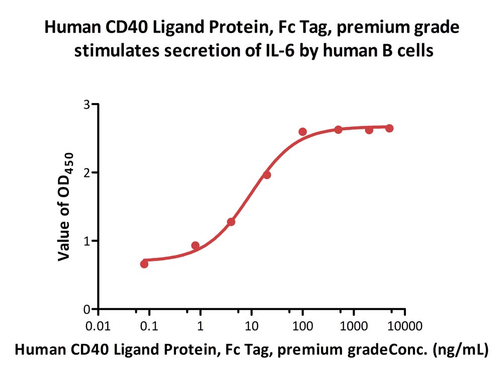 CD40 Ligand CELL