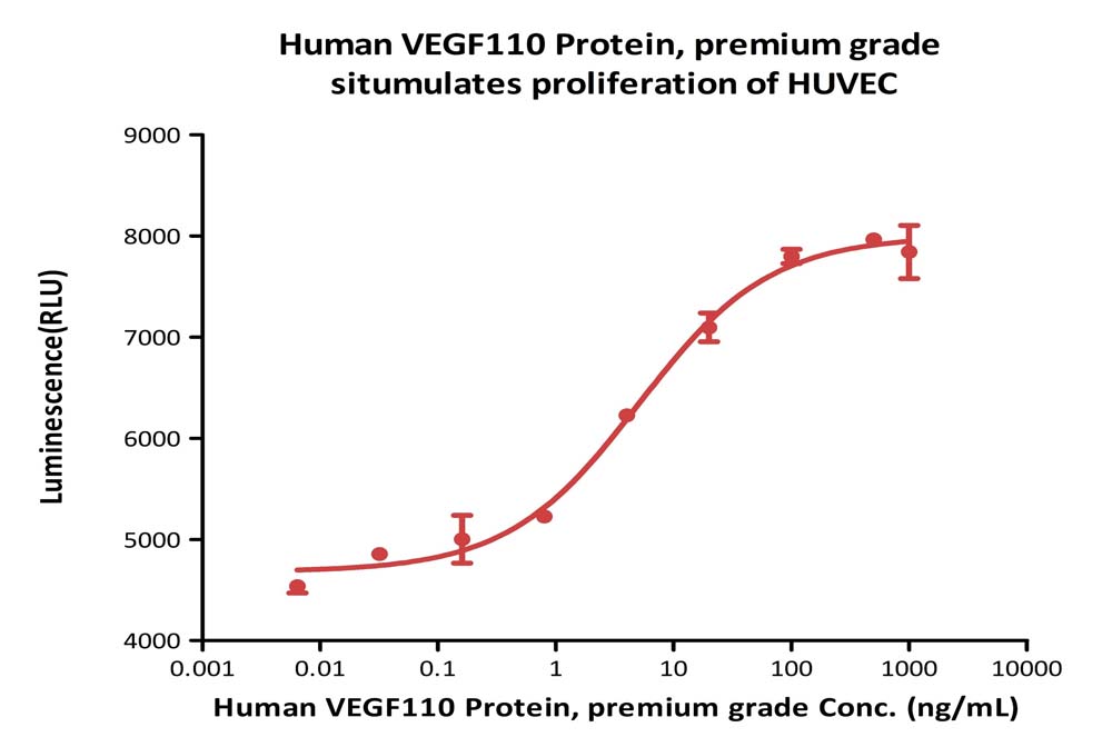 VEGF110 CELL