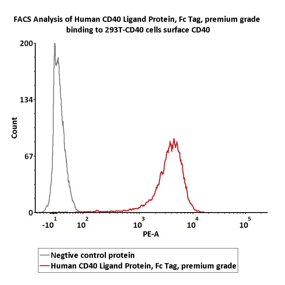 CD40 Ligand FACS