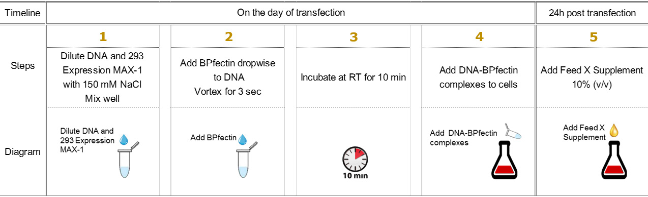 BPfectin Transfection Reagent