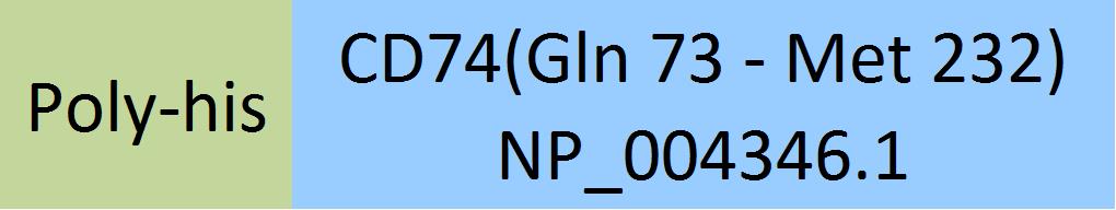 Online(Gln 73 - Met 232) NP_004346.1