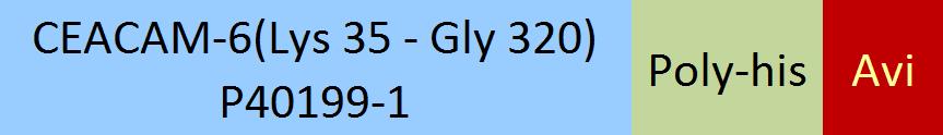 Online(Lys 35 - Gly 320) P40199-1