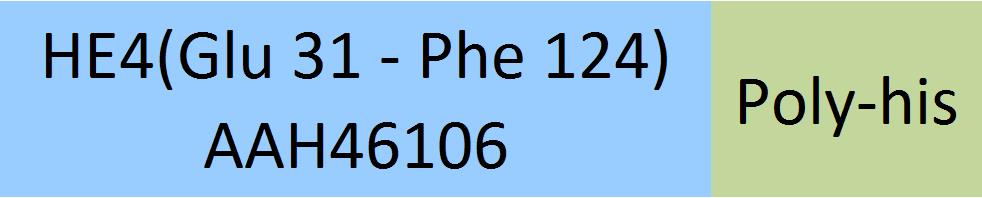 Online(Glu 31 - Phe 124) AAH46106
