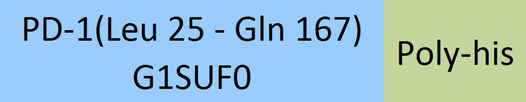 Online(Leu 25 - Gln 167) G1SUF0