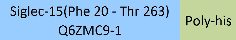 Online(Phe 20 - Thr 263) Q6ZMC9-1