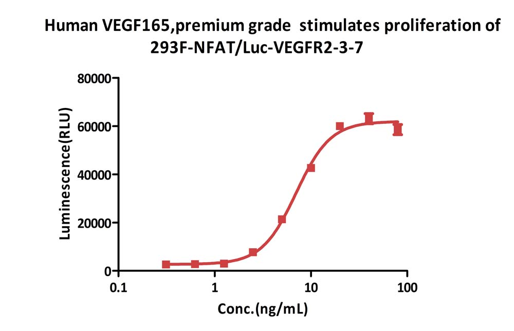 VEGF165 CELL