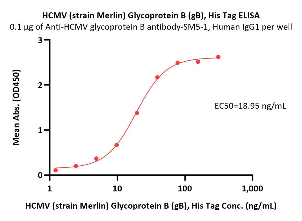 Glycoprotein B / gB ELISA