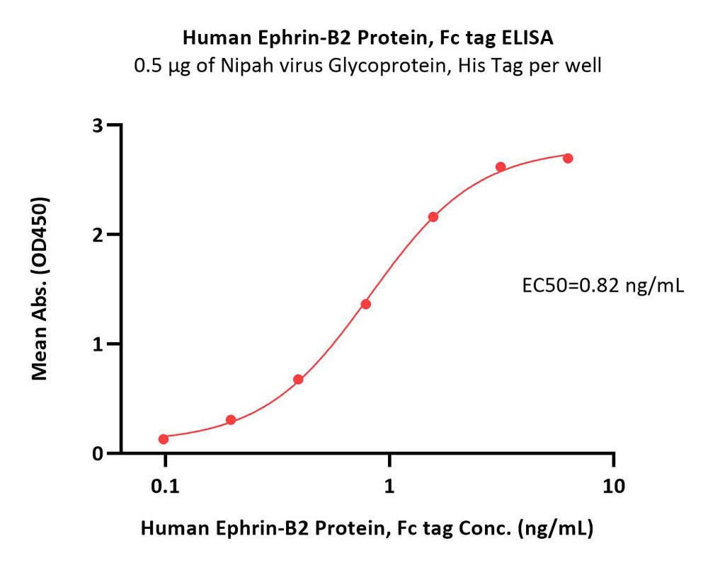 Ephrin-B2 ELISA