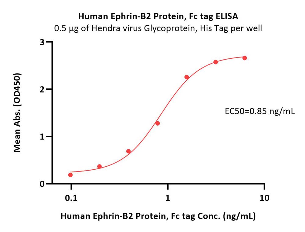 Ephrin-B2 ELISA