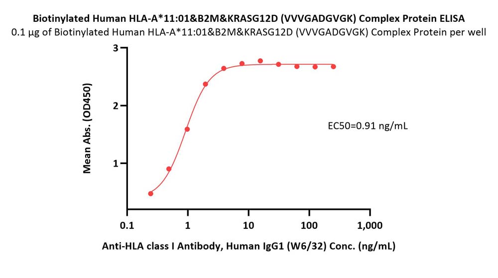 HLA-A*1101 & B2M & KRASG12D (VVVGADGVGK) ELISA