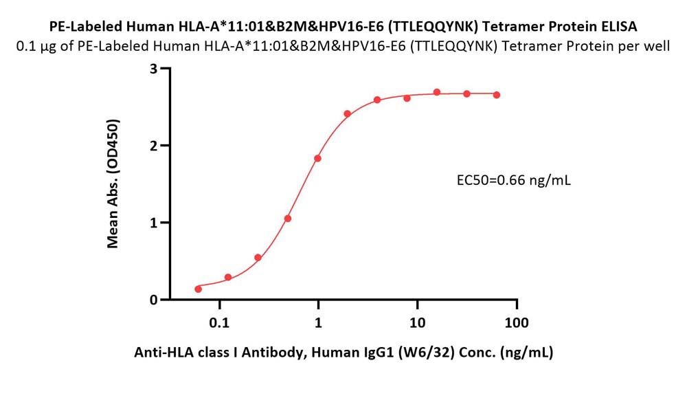 HLA-A*1101 & B2M & HPV16-E6 (TTLEQQYNK) ELISA