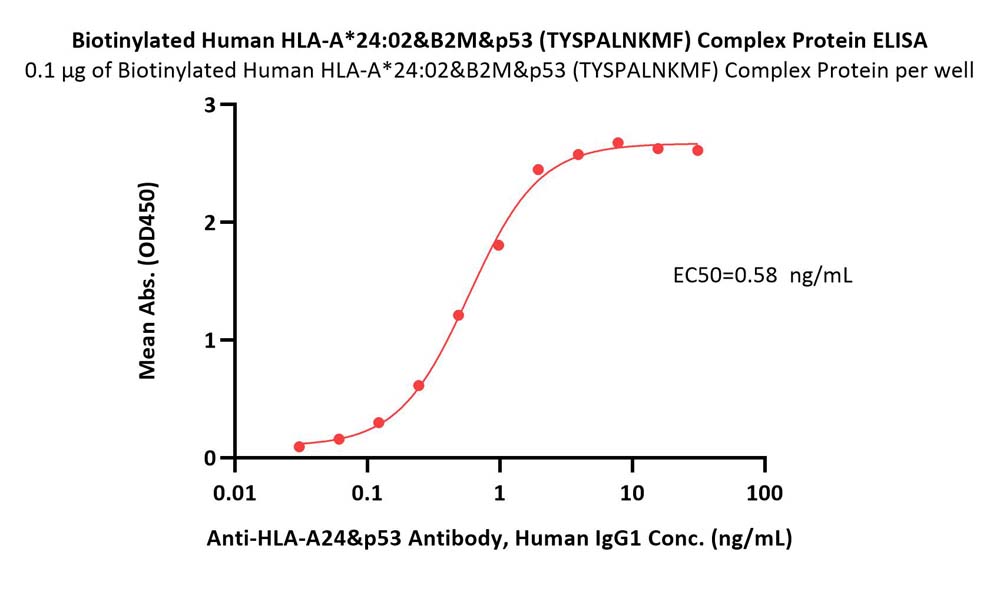 HLA-A*2402 & B2M & p53 (TYSPALNKMF) ELISA