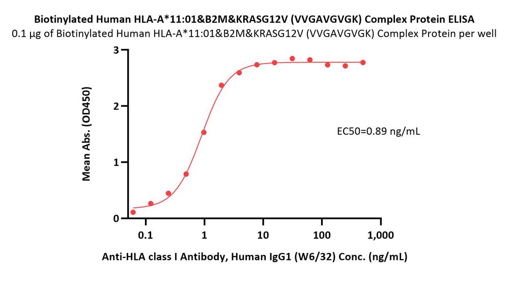 HLA-A*1101 | B2M | KRASG12V (VVGAVGVGK) ELISA