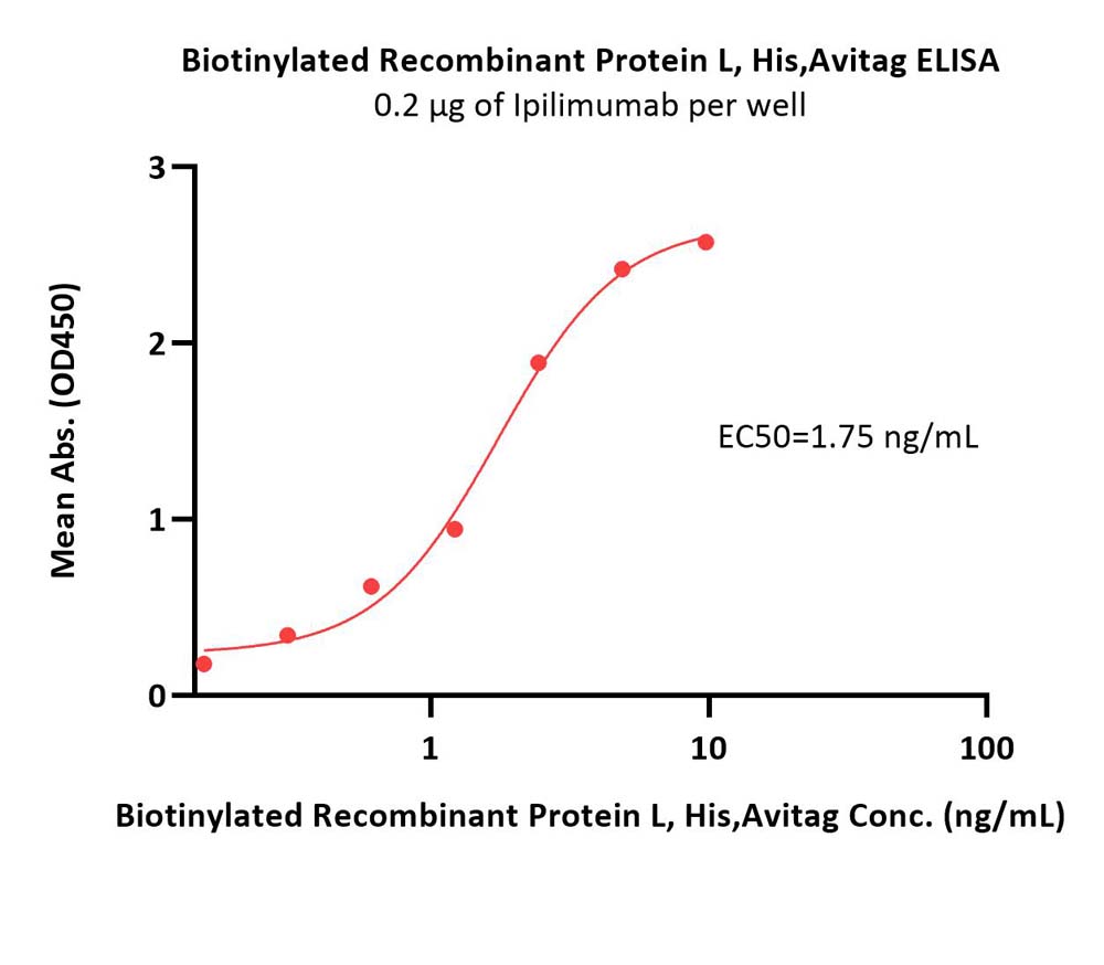 Protein L ELISA