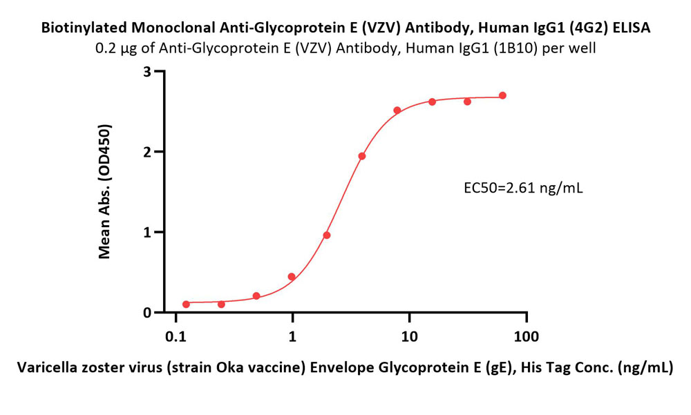 Glycoprotein E (VZV) ELISA