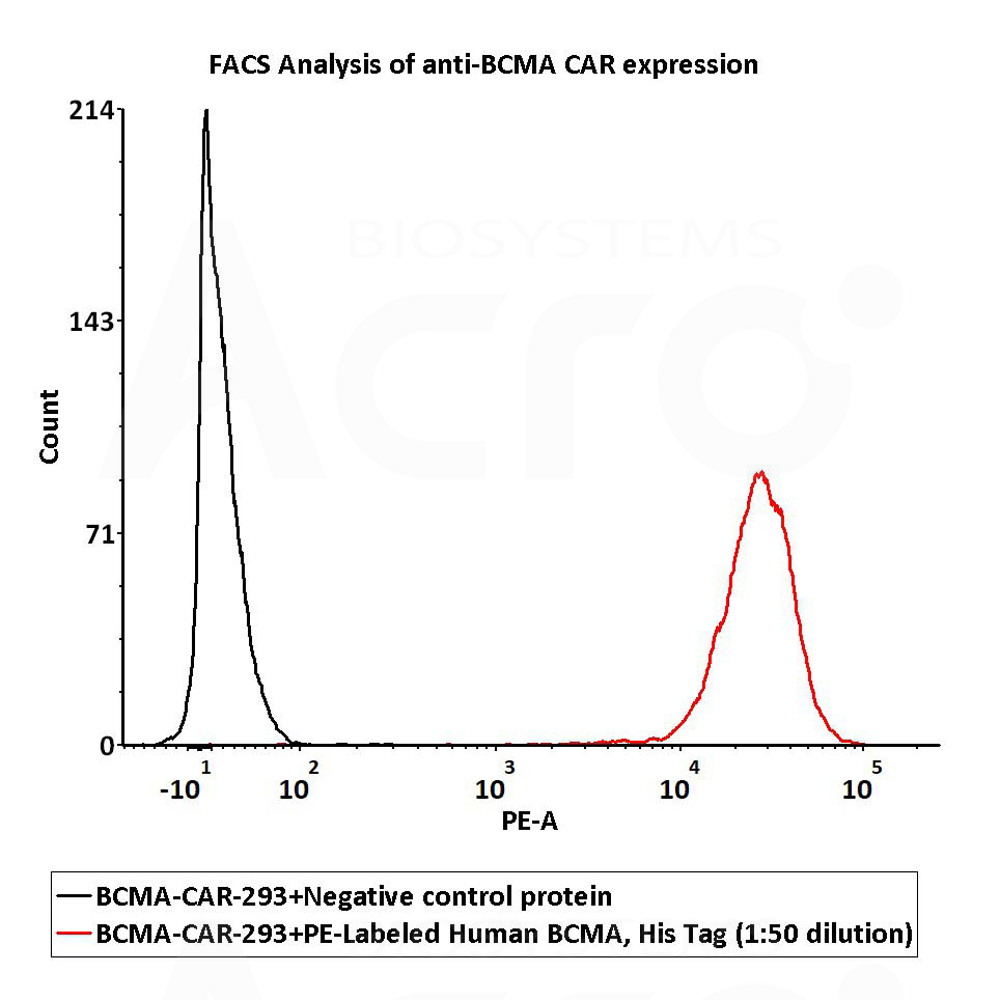 BCMA FACS