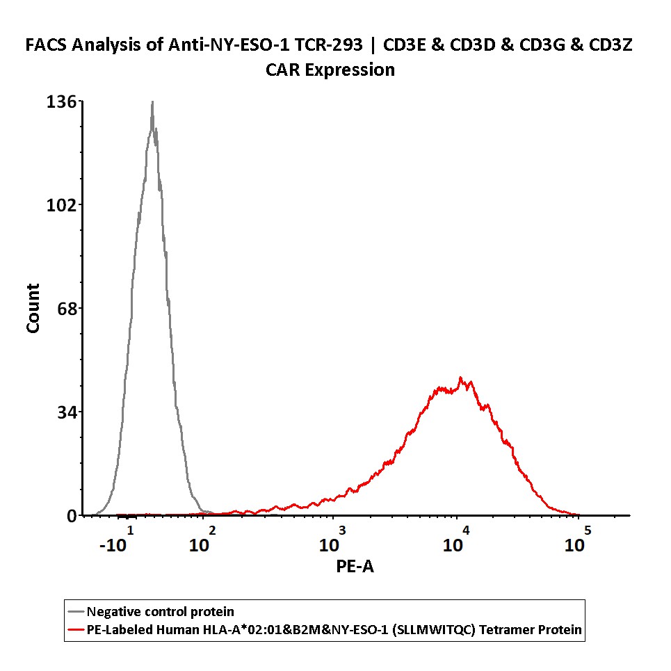 HLA-A*0201 | B2M | NY-ESO-1 FACS