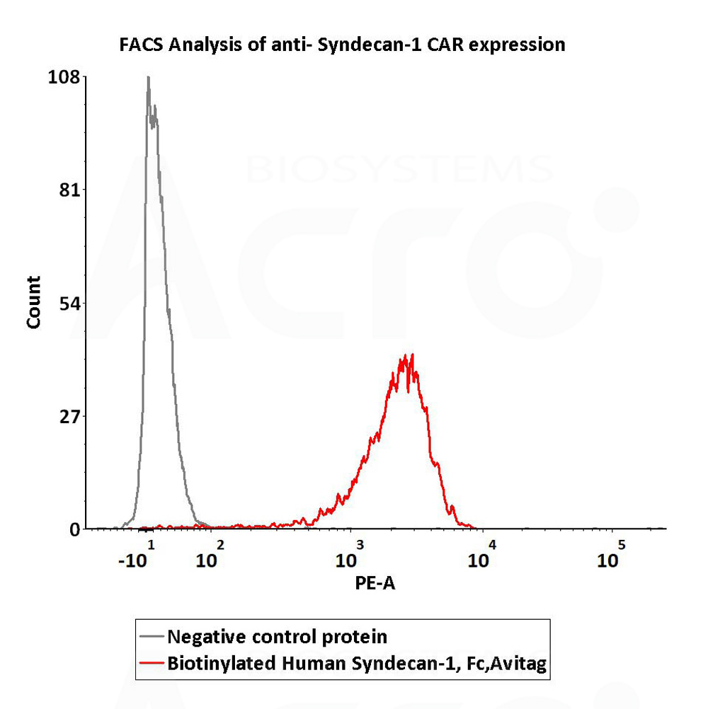 Syndecan-1 FACS