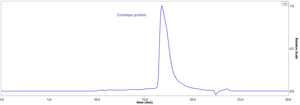 Envelope protein E (TBEV) SEC-HPLC