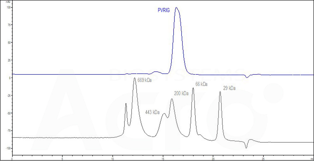 Biotinylated Human PVRIG Protein, Fc,Avitag (Cat. No. PVG-H82F9) HPLC images