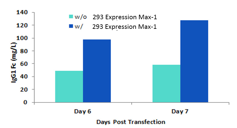 293 Expression MAXTM-1 Example