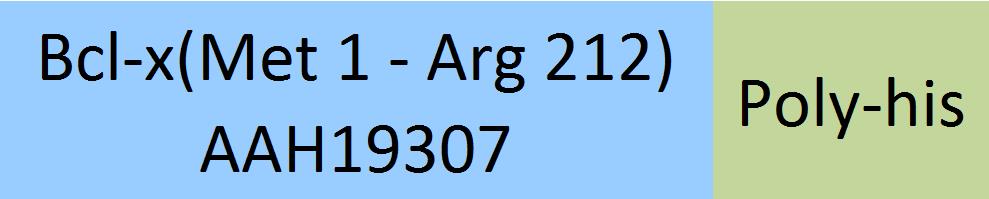 Online(Met 1 - Arg 212) AAH19307