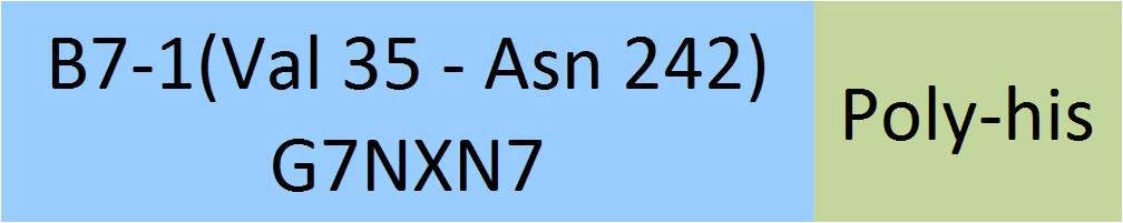 Online(Val 35 - Asn 242) G7NXN7