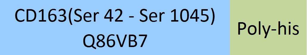 Online(Ser 42 - Ser 1045) Q86VB7