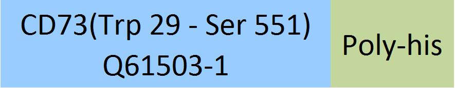 Online(Trp 29 - Ser 551) Q61503-1