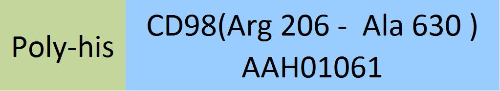 Online(Arg 206 -  Ala 630 ) AAH01061