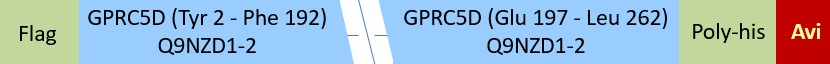 GPRC5D Structure