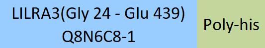 Online(Gly 24 - Glu 439) Q8N6C8-1