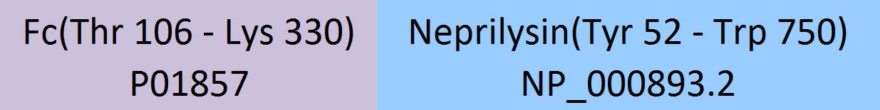Neprilysin Structure