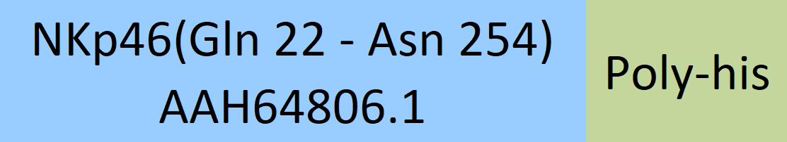 Online(Gln 22 - Asn 254) AAH64806.1