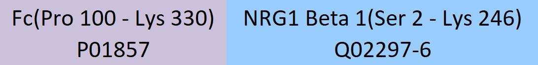 NRG1 Beta 1 Structure
