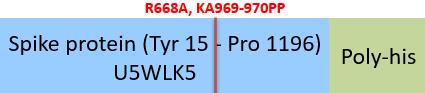 Online(Tyr 15 - Pro 1196) U5WLK5 (R668A, KA969-970PP)