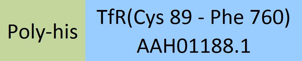 Online(Cys 89 - Phe 760) AAH01188.1
