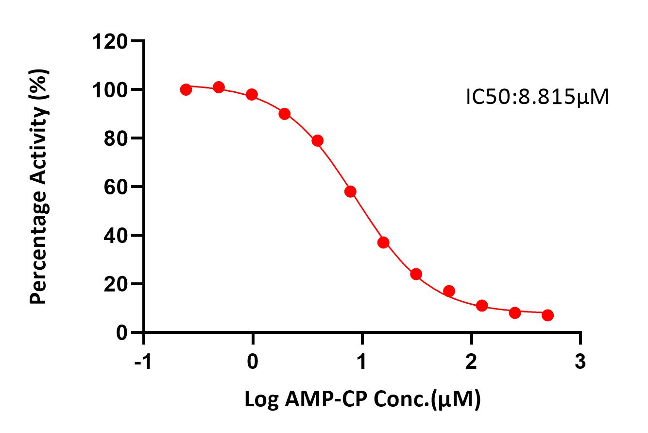 CD73 TYPICAL DATA