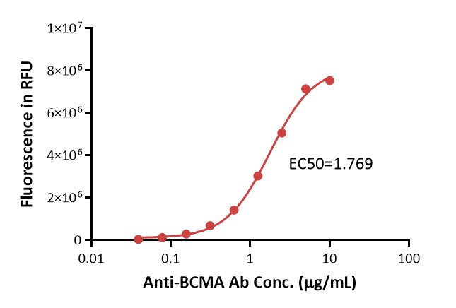 BCMA TYPICAL DATA