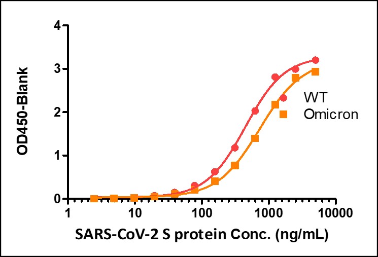 Spike protein TYPICAL DATA