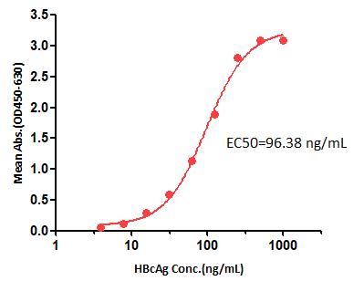 HBcAg TYPICAL DATA