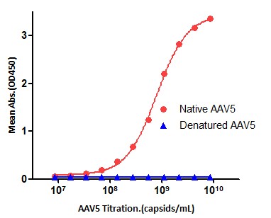 AAV5 SPECIFICITY