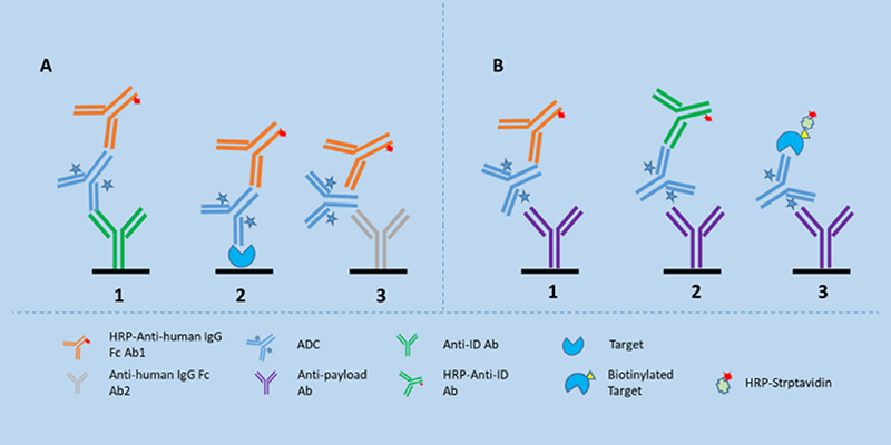 血清中ADC的不同LBA分析形式