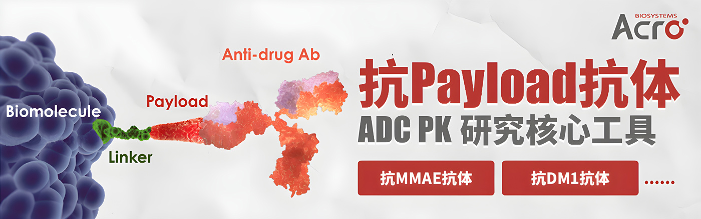 抗Payload抗体——ADC PK研发核心工具