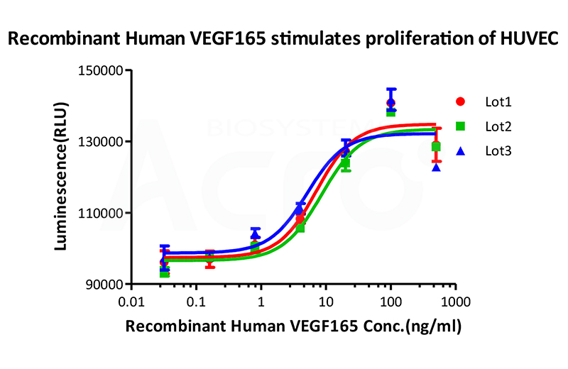 VEGF165-VE5-H4210