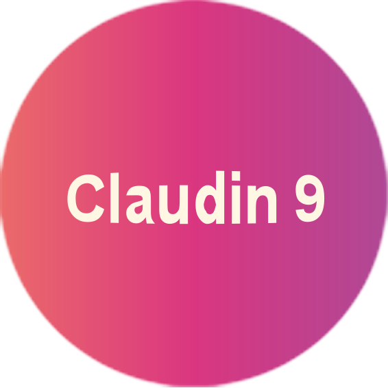 Claudin-9