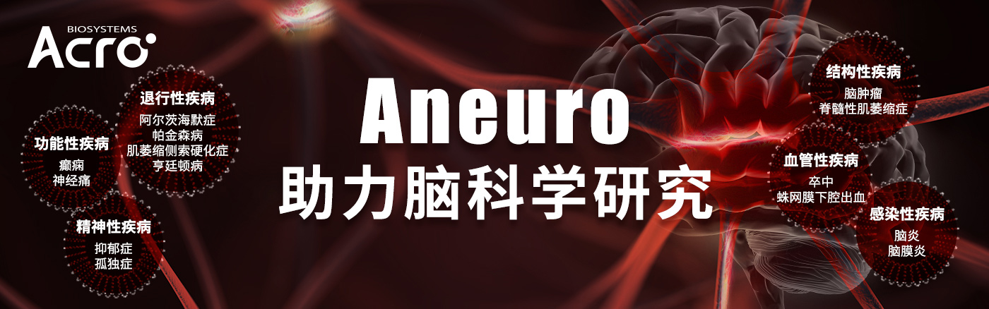 Aneuro，助力脑科学研究