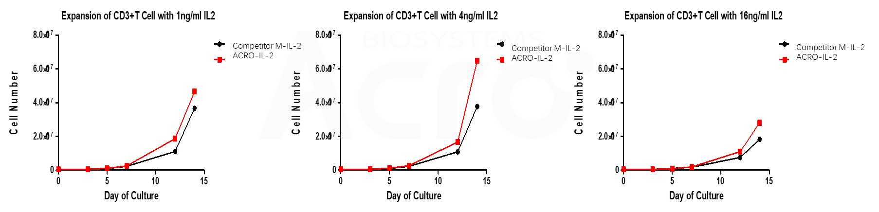 Premium IL-2与CD3/CD28抗体偶联磁珠联用添加到培养基中可高活性激活培养T细胞
