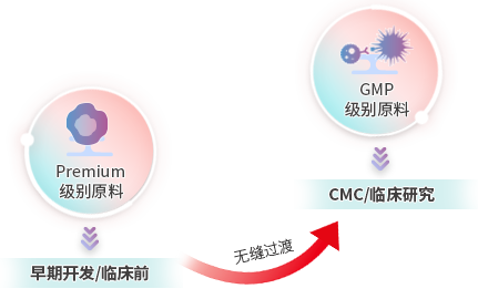 GMP和Premium级别细胞因子