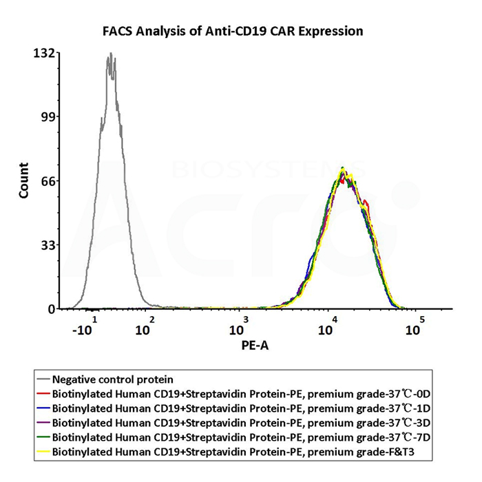 PE标记SA蛋白验证数据（FACS）